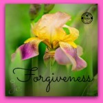 Forgiveness and Health