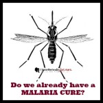 Do we already have a malaria cure?