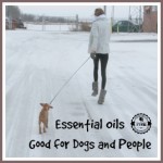 Essential Oils For Dogs and People