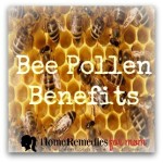 Bee Pollen Benefits