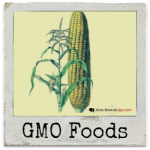 GMO Foods