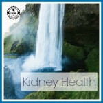 Natural Kidney Health