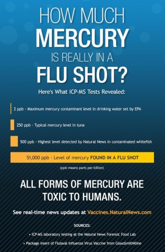 Flu shot and mercury