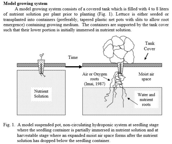 Hydroponics without Electricity and Soil