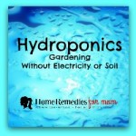 Hydroponics Without Electricity