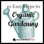 10 Easy Steps to Organic Gardening