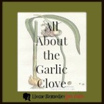 garlic clove medicinal properties