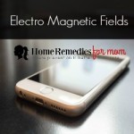 Electro Magnetic Fields