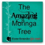 The Amazing Moringa Tree