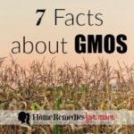 gmo facts