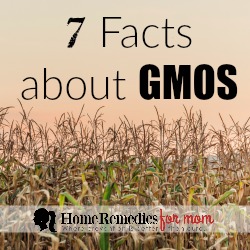 7 Facts About GMOS - Home Remedies For Mom