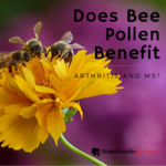 Bee Pollen Benefits